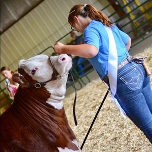 Meet your Posher, Josie